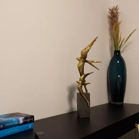 Quibio Apartman Brassó