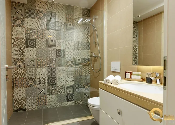 Quibio * Брашов